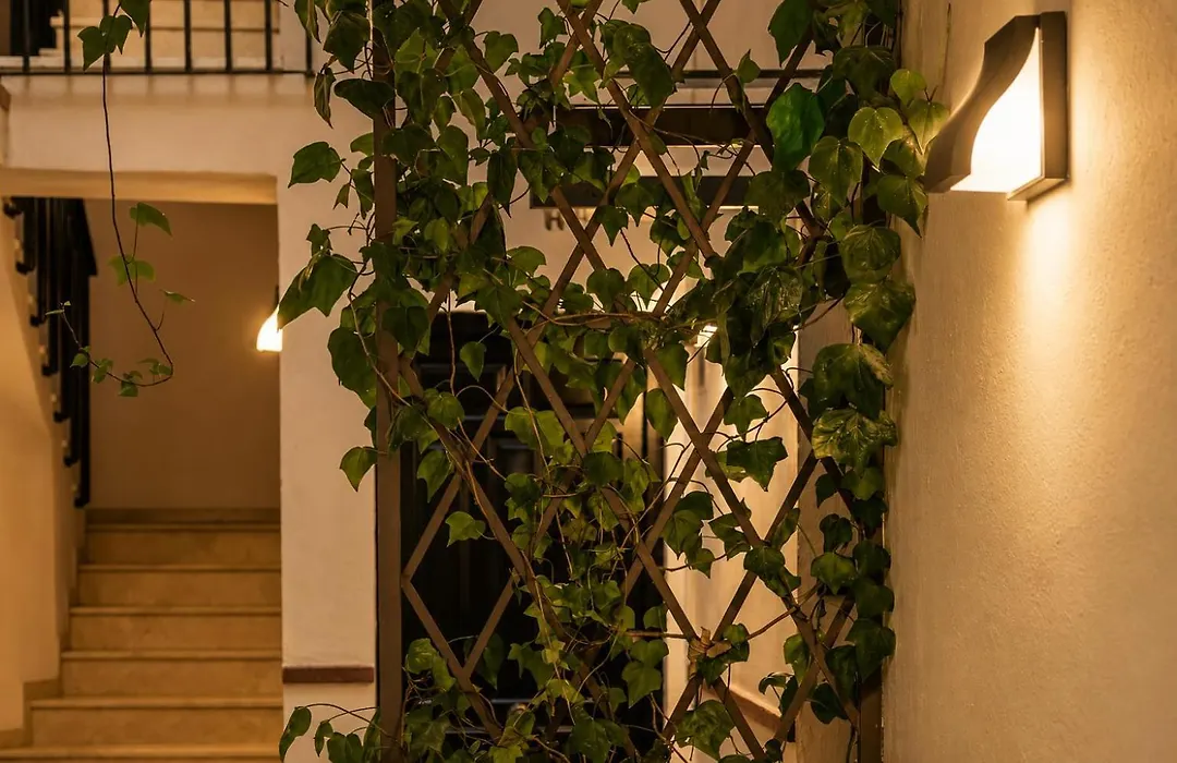 Casa Lavanda By Blossom Hotels-1